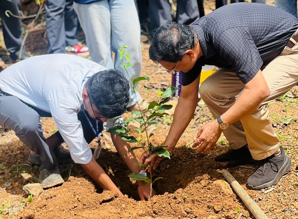 Environment Day 2